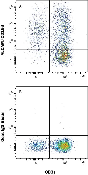 Human PBMC's were stained with Mouse Anti-Human CD3 epsilon  PE‑conjugated Monoclonal Antibody (Catalog # FAB100P) and either (A) Goat Anti-Mouse ALCAM/CD166 Biotinylated Antigen Affinity-purified Polyclonal Antibody (Catalog # BAF1172) or (B) isotype control antibody (Catalog # BAF108) followed by Streptavidin-Allophycocyanin (Catalog # F0050). View our protocol for Staining Membrane-associated Proteins. 