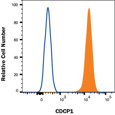 SW480 cells were stained with Goat Anti-Human CDCP1 Biotinylated Antigen Affinity-purified Polyclonal Antibody (Catalog # BAF2666, filled histogram) or isotype control antibody (Catalog # BAF108, open histogram) followed by Streptavidin-Allophycocyanin (Catalog # F0050). View our protocol for Staining Membrane-associated Proteins. 