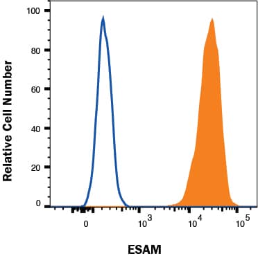 bEnd.3 cells were stained with Goat Anti-Mouse ESAM Biotinylated Antigen Affinity-purified Polyclonal Antibody (Catalog # BAF2827, filled histogram) or isotype control antibody (Catalog # BAF108, open histogram) followed by Streptavidin-Allophycocyanin (Catalog # F0050). View our protocol for Staining Membrane-associated Proteins. 