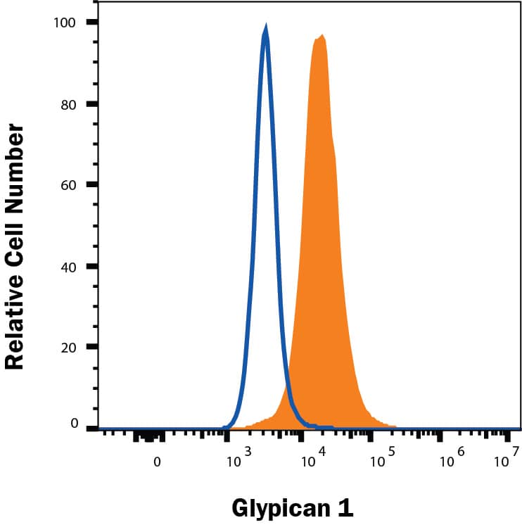 A549 cells were stained with Goat Anti-Human Glypican 1 Biotinylated Antigen Affinity-purified Polyclonal Antibody (Catalog # BAF4519, filled histogram) or isotype control antibody (Catalog # BAF108, open histogram), followed by Streptavidin-Phycoerythrin (Catalog # F0040). View our protocol for Staining Membrane-associated Proteins. 