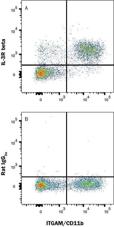 Mouse bone marrow cells were stained with Rat Anti-Mouse CD11b/Integrin alpha M PE‑conjugated Monoclonal Antibody (Catalog # FAB1124P) and either (A) Goat Anti-Mouse IL-3R beta Biotinylated Antigen Affinity-purified Polyclonal Antibody (Catalog # BAF549) or (B) isotype control antibody (Catalog # BAF108) followed by Streptavidin-Allophycocyanin (Catalog # F0050). View our protocol for Staining Membrane-associated Proteins. 