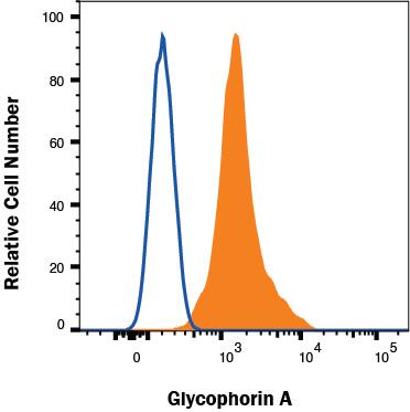 Human red blood cells were stained with Mouse Anti-Human Glycophorin A Biotinylated Monoclonal Antibody (Catalog # bam12281, filled histogram) or isotype control antibody (Catalog # IC002B, open histogram) followed by Streptavidin-Allophycocyanin (Catalog # F0050). View our protocol for Staining Membrane-associated Proteins. 