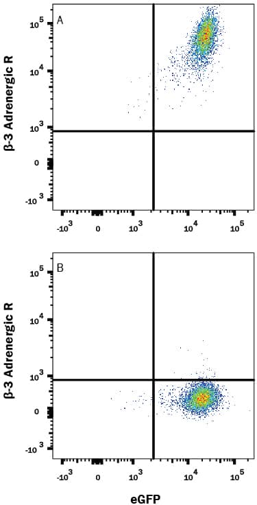 Flow Cytometry beta-3 Adrenergic R/ADRB3 Antibody (493324) [Unconjugated]