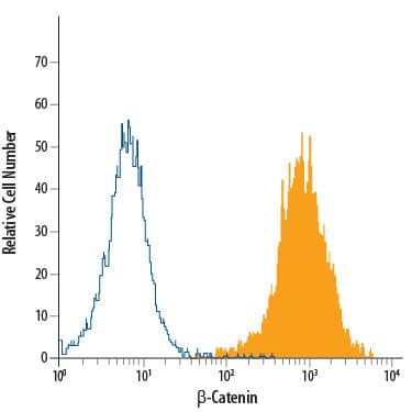 HeLa human cervical epithelial carcinoma cell line was stained with Mouse Anti-Human  beta -Catenin APC-conjugated Monoclonal Antibody (Catalog # IC13292A, filled histogram) or isotype control antibody (Catalog # IC003A, open histo-gram). To facilitate intracellular staining, cells were fixed with 4% para-formaldehyde and permeabilized with Methanol. View our protocol for Staining Intracellular Molecules.