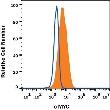 Jurkat human acute T cell leukemia cell line was stained with Rabbit Anti-Human c-Myc Mono-clonal Antibody (Catalog # MAB36961, filled histogram) or isotype control antibody (Catalog # MAB1050, open histogram), followed by Phycoerythrin-conjugated Anti-Rabbit IgG Secondary Antibody (Catalog # F0110). To facilitate intracellular staining, cells were fixed with paraformaldehyde and permeabilized with methanol. View our protocol for Staining Intracellular Molecules.