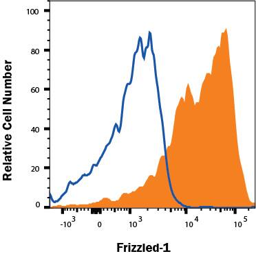 D3 mouse embryonic stem cell line treated with Retinoic Acid for 3 days was stained with Rat Anti-Mouse Frizzled-1 APC-conjugated Monoclonal Antibody (Catalog # FAB11201A, filled histogram) or isotype control antibody (IC006A, open histogram). Staining was performed using our Staining Membrane-associated Proteins protocol. 