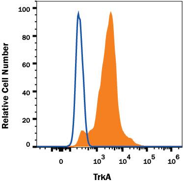 HEK293 human embryonic kidney cell line transfected with human TrkA was stained with Mouse anti-Human TrkA  Alexa Fluor® 488-conjugated Monoclonal Antibody (Catalog # FAB1751RG, filled histogram) or isotype control antibody (IC002G, open histogram).  To facilitate intracellular staining, cells were fixed with Flow Cytometry Fixation Buffer (FC004) and permeabilized with Flow Cytometry Permeabilization/Wash Buffer I (FC005). Staining was performed using our Staining Intracellular Molecules protocol.