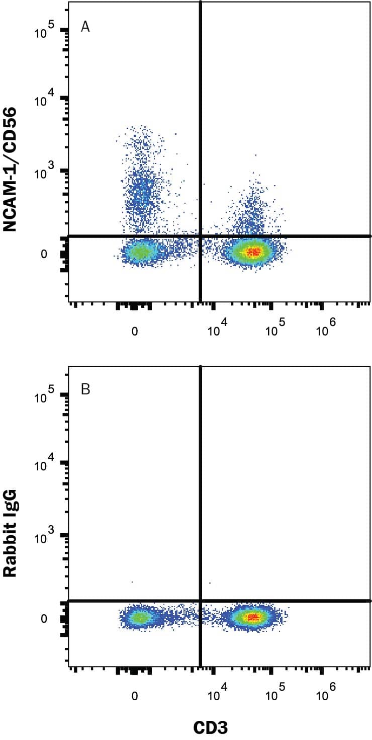 Human peripheral blood lymphocytes were stained with Mouse Anti-Human CD3 epsilon PE-conjugated Monoclonal Antibody (FAB100P) and either (A) Rabbit Anti-Human NCAM-1/CD56 Alexa Fluor® 700-conjugated Monoclonal Antibody (Catalog # FAB24086N) or (B) Rabbit IgG Isotype Control (IC1051N). Staining was performed using our Staining Membrane-associated Proteins protocol.