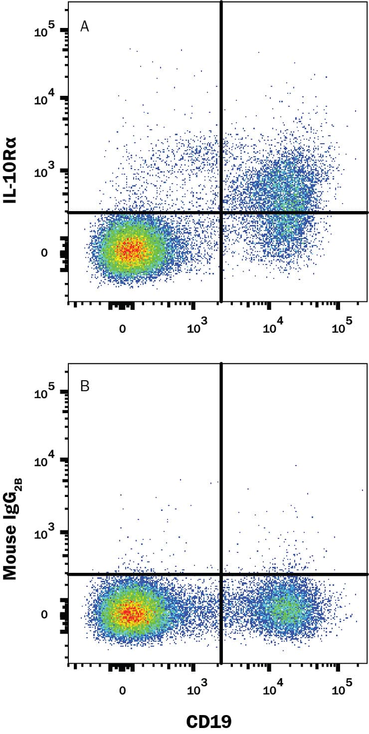 Human peripheral blood lymphocytes were stained with (A) Mouse Anti-Human IL-10 Ra Alexa Fluor® 700-conjugated Monoclonal Antibody (Catalog # FAB2742N) or (B) Mouse IgG2B isotype control antibody (IC0041N) and Mouse Anti-Human CD19 PE-conjugated Monoclonal Antibody (FAB4867P). Staining was performed using our Staining Membrane-associated Proteins protocol.