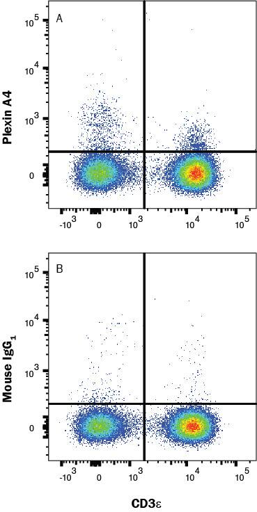 Human peripheral blood lymphocytes were stained with either (A) Mouse Anti-Human Plexin A4 PE-conjugated Monoclonal Antibody (Catalog # FAB58561P) or (B) Mouse IgG1Phycoerythrin Isotype Control (IC002P) and Mouse Anti-Human CD3e APC-conjugated Monoclonal Antibody (FAB100A). Staining was performed using our Staining Membrane-associated Proteins protocol. 
