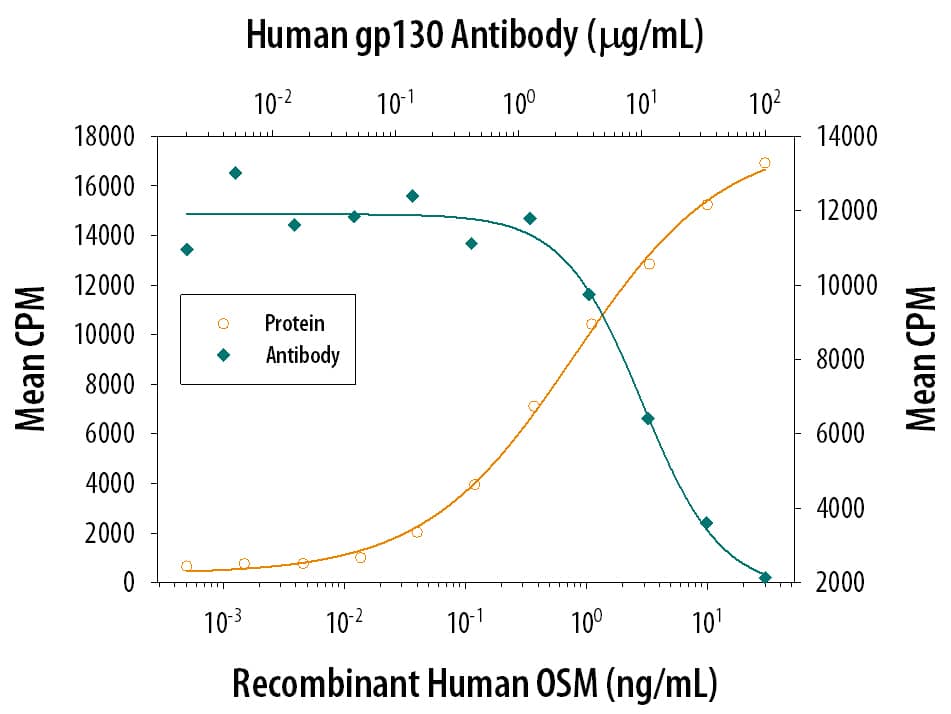 Recombinant Human Oncostatin M/OSM (Catalog # 295-OM) stimulates proliferation in the TF-1 human erythroleukemic cell line in a dose-dependent manner (orange line). Proliferation elicited by Recombinant Human Oncostatin M/OSM (0.8 ng/mL) is neutralized (green line) by increasing concentrations of Human gp130 Polyclonal Antibody (Catalog # AB-228-NA). The ND50 is typically 20-40 µg/mL.