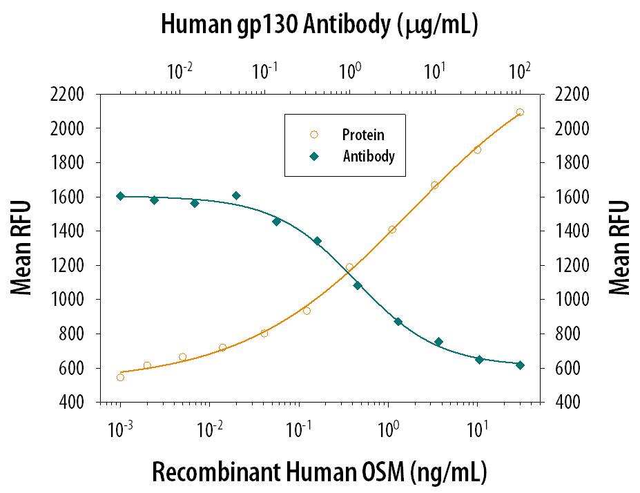 Recombinant Human Oncostatin M/OSM (Catalog # 295-OM) stimulates proliferation in the TF-1 human erythroleukemic cell line in a dose-dependent manner (orange line). Proliferation elicited by Recombinant Human Oncostatin M/OSM (0.8 ng/mL) is neutralized (green line) by increasing concentrations of Goat Anti-Human gp130 Antigen Affinity-purified Polyclonal Antibody (Catalog # AF-228-NA). The ND50 is typically 2-10 µg/mL.