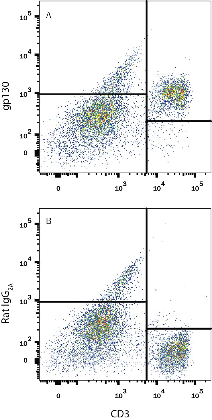 Mouse splenocytes were stained with Rat Anti-Mouse CD3 PE-conjugated Monoclonal Antibody (Catalog # FAB4841P) and either (A) Rat Anti-Mouse gp130 Monoclonal Antibody (Catalog # MAB4681) or (B) Rat IgG2AIsotype Control (Catalog # MAB006) followed by Allophycocyanin-conjugated Anti-Rat IgG Secondary Antibody (Catalog # F0113). View our protocol for Staining Membrane-associated Proteins.