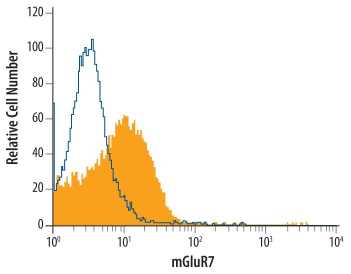 A172 human glioblastoma cell line was stained with Human mGluR7 Monoclonal Antibody (Catalog # MAB4405, filled histogram) or isotype control antibody (Catalog # MAB003, open histogram), followed by Phycoerythrin-conjugated Anti-Mouse IgG F(ab')2Secondary Antibody (Catalog # F0102B).