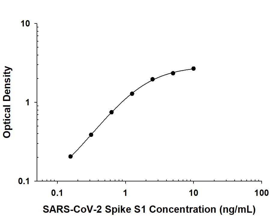 Recombinant SARS-CoV-2 Spike S1 protein was serially diluted 2-fold and captured by Mouse Anti-SARS-CoV-2 Spike RBD Monoclonal Antibody (Catalog # MAB105806) coated on a Clear Polystyrene Microplate (DY990). Mouse Anti-SARS-CoV-2 Spike RBD Monoclonal Antibody (MAB105807) was biotinylated and incubated with the protein captured on the plate. Detection of the standard curve was achieved by incubating Streptavidin-HRP (DY998) followed by Substrate Solution (DY999) and stopping the enzymatic reaction with Stop Solution (DY994).