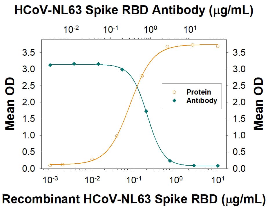 In a functional ELISA binding assay, 0.300-3 μg/mL of this antibody will block 50% of the binding of 250 ng/mL of Recombinant HCo-V-NL63 Spike RBD His-tagged Protein (10605-CV) to immobilized Recombinant Human ACE-2 Fc Chimera Protein (10544-ZN) coated at 1 μg/mL (100 µL/well). At 10 μg/mL, this antibody will block >90% of the binding.