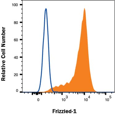 NS0 cell line transfected with mouse Frizzled-1 were stained with Rat Anti-Human/Mouse Frizzled‑1 Monoclonal Antibody (Catalog # MAB11201, filled histogram) or isotype control antibody (Catalog # MAB006, open histogram) followed by Allophycocyanin-conjugated Anti-Rat IgG Secondary Antibody (Catalog # F0113). To facilitate intracellular staining, cells were fixed with Flow Cytometry Fixation Buffer (Catalog # FC004) and permeabilized with saponin. View our protocol for Staining Intracellular Molecules.