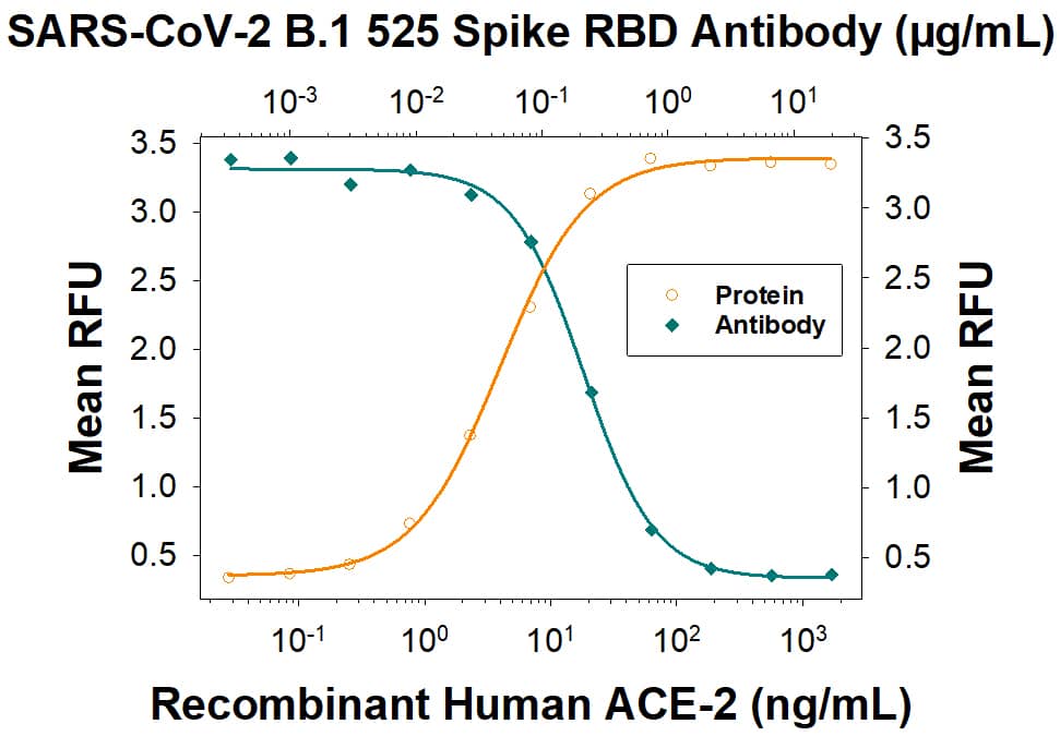 In a functional ELISA, 0.0800 - 1.20 µg/mL of this antibody will block 50% of the binding of 50 ng/mL Recombinant Human ACE‑2 (933-ZN) to Recombinant SARS-CoV-2 B.1.525 Spike immobilized at 0.5 ug/mL (100 µL/well).