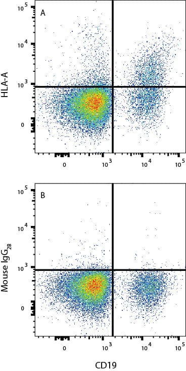 PBMC were stained with Mouse Anti-Human CD19 APC‑conjugated Monoclonal Antibody (Catalog # FAB4867A) and either (A) Mouse Anti-Human HLA Class I Monoclonal Antibody (Catalog # MAB11502) or (B) isotype control antibody (Catalog # MAB004) followed by Phycoerythrin-conjugated Anti-Mouse IgG Secondary Antibody (Catalog # F0102B). View our protocol for Staining Membrane-associated Proteins.