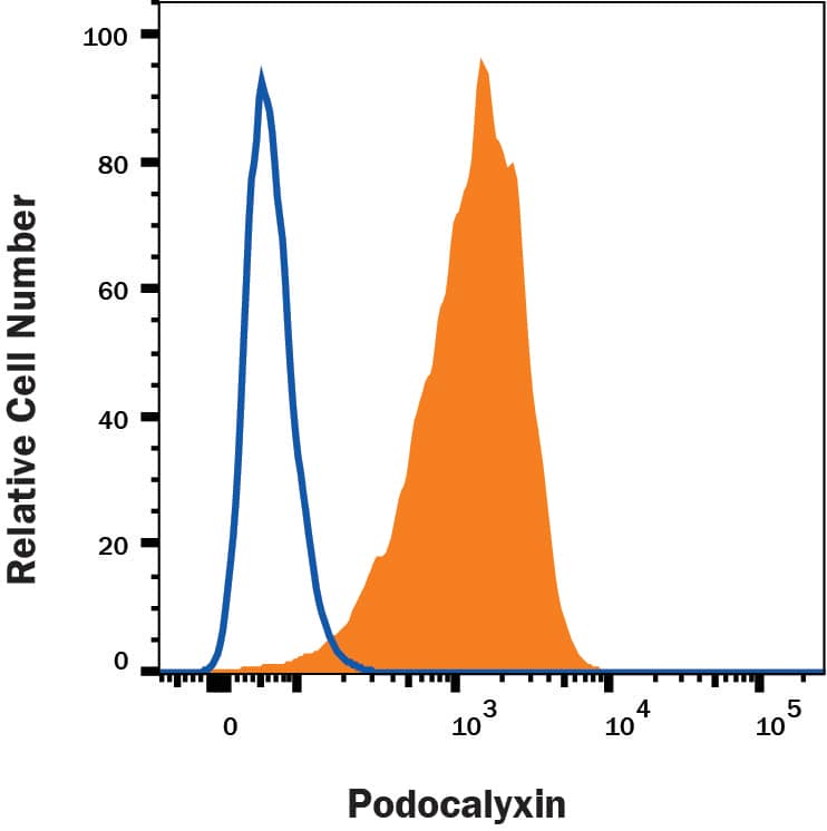 Induced pluripotent stem cells (iPSCs) were stained with Mouse Anti-Human Podocalyxin Monoclonal Antibody (Catalog # MAB1658, filled histogram) or isotype control antibody (Catalog # MAB003, open histogram) followed by Fluorescein-conjugated Anti-Mouse IgG Secondary Antibody (Catalog # F0103B). View our protocol for Staining Membrane-associated Proteins.