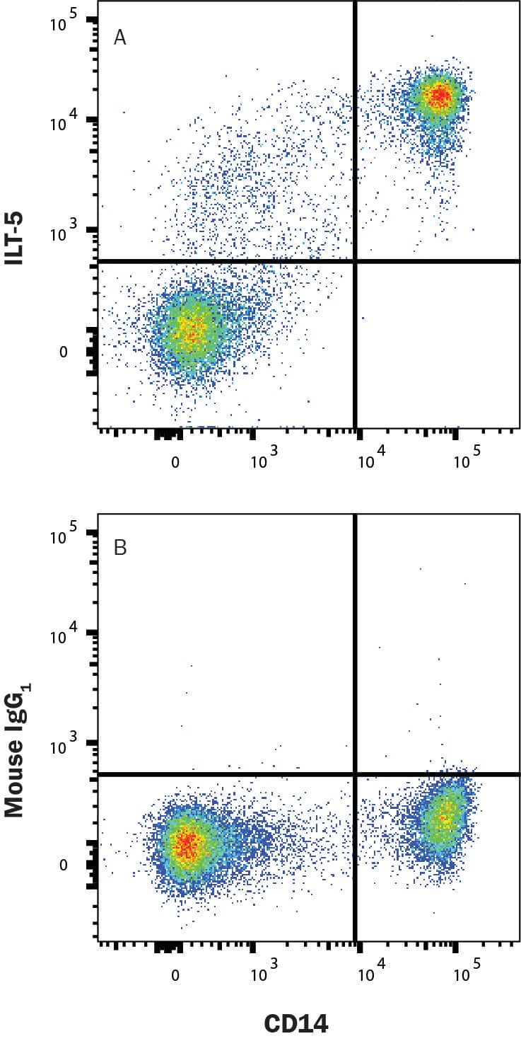 PBMC with CD14 costain were stained with either (A) Mouse Anti-Human LILRB3/CD85a/ILT5 Monoclonal Antibody (Catalog # MAB18061) or (B) Mouse IgG1 Isotype Control (Catalog # MAB002). View our protocol for Staining Membrane-associated Proteins. 