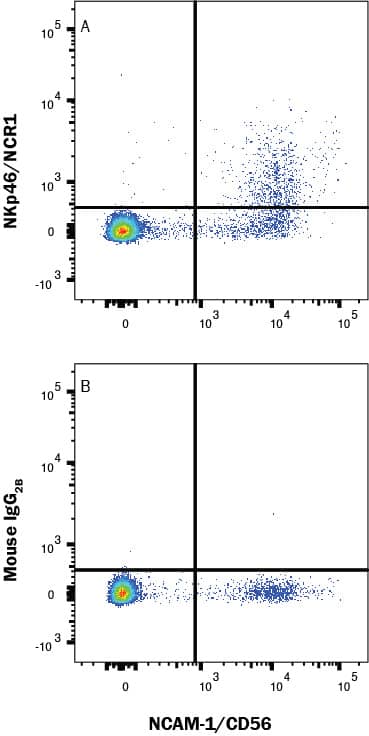 Human peripheral blood mononuclear cells (PBMCs) were stained with (A) Mouse Anti-Human NKp46/NCR1 Monoclonal Antibody (Catalog # MAB1850) or (B) Mouse IgG2B Isotype Control (MAB0041) followed by Goat anti-Mouse IgG APC-conjugated Secondary Antibody (F0101B) and Rabbit Anti-Human NCAM-1/CD56 PE-conjugated Monoclonal Antibody (FAB24086P). Staining was performed using our Staining Membrane-associated Proteins protocol.