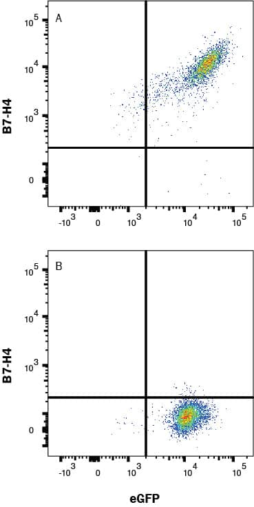 Flow Cytometry B7-H4 Antibody (2582H) [Unconjugated]