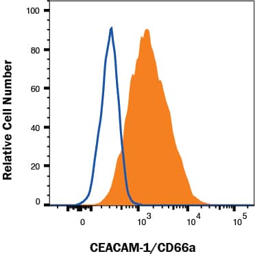 HepG2 cells were stained with Mouse Anti-Human CEACAM‑1/CD66a Monoclonal Antibody (Catalog # MAB2244, filled histogram) or isotype control antibody (Catalog # MAB0041, open histogram) followed by Allophycocyanin-conjugated Anti-Mouse IgG Secondary Antibody (Catalog # F0101B). View our protocol for Staining Membrane-associated Proteins. 