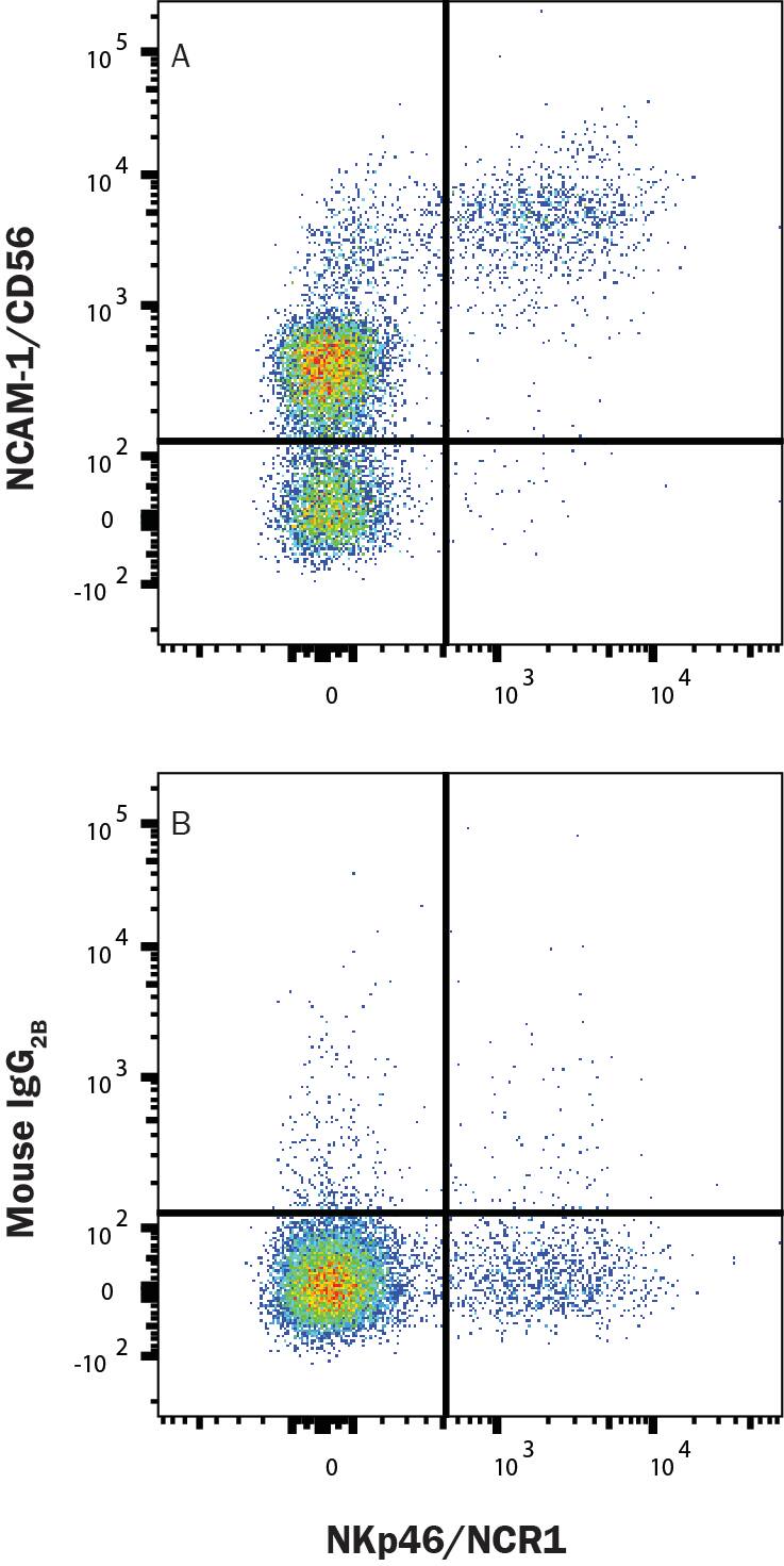  Human PBMCs were stained with either (A) Mouse Anti-Human NCAM-1/CD56 Monoclonal Antibody (Catalog # MAB24081) or (B) Mouse IgG2B Isotype Control (MAB0041) followed by Anti-Mouse IgG APC-conjugated secondary antibody (F0101B) and Mouse Anti-Human NKp46 PE-conjugated Monoclonal Antibody (FAB1850P). Staining was performed using our Staining Membrane-associated Proteins protocol. 
