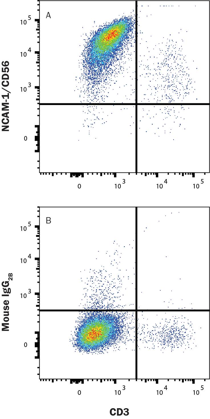 Human NK cells were expanded from PBMCs using Cloudz Human NK Cell Expansion Kit (CLD004) and were stained with either (A) Mouse Anti-Human NCAM-1/CD56 Monoclonal Antibody (Catalog # MAB24081) or (B) Mouse IgG2B Isotype Control (MAB0041) followed by Anti-Mouse IgG APC-conjugated secondary antibody (F0101B) and Mouse Anti-HumanCD3 PE-conjugated Monoclonal Antibody (FAB100P). Staining was performed using our Staining Membrane-associated Proteins protocol. 