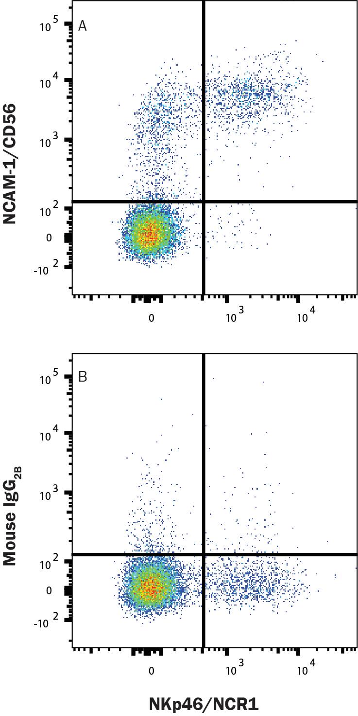 Human PBMCs were stained with either (A) Mouse Anti-Human NCAM-1/CD56 Monoclonal Antibody (Catalog # MAB2408) or (B) Mouse IgG2B Isotype Control (MAB0041) followed by Anti-Mouse IgG APC-conjugated secondary antibody (F0101B) and Mouse Anti-Human NKp46 PE-conjugated Monoclonal Antibody (FAB1850P). Staining was performed using our Staining Membrane-associated Proteins protocol. 