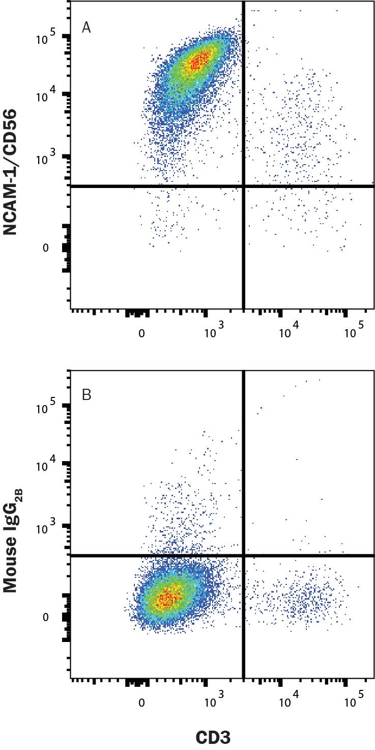 Human NK cells were expanded from PBMCs using Cloudz Human NK Cell Expansion Kit (CLD004) and were stained with either (A) Mouse Anti-Human NCAM-1/CD56 Monoclonal Antibody (Catalog # MAB24081) or (B) Mouse IgG2B Isotype Control (MAB0041) followed by Anti-Mouse IgG APC-conjugated secondary antibody (F0101B) and Mouse Anti-HumanCD3 PE-conjugated Monoclonal Antibody (FAB100P). Staining was performed using our Staining Membrane-associated Proteins protocol. 