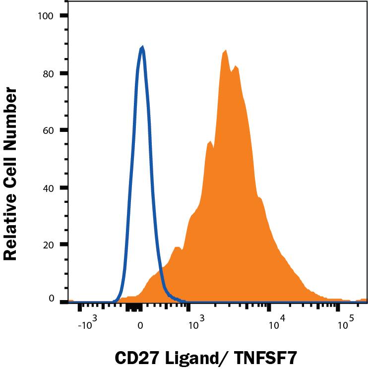 HEK293 human embryonic kidney cell line transfected with human CD27 Ligand/TNFSF7 (filled histogram) or irrelevant protein (open histogram) was stained with Mouse Anti-Human CD27 Ligand/TNFSF7 Monoclonal Antibody (Catalog # MAB27381) followed by Goat anti-mouse PE-conjugated secondary antibody (F0102B). Staining was performed using our Staining Membrane-associated Proteins protocol. 