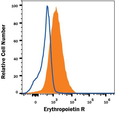  TF-1 human erythroleukemic cell line was stained with Mouse Anti-Human Erythropoietin R Monoclonal Antibody (Catalog # MAB307, filled histogram) or isotype control antibody (MAB0041, open histogram) followed by anti-Mouse IgG Allophycocyanin-conjugated Secondary Antibody (F0101B). Staining was performed using our Staining Membrane-associated Proteins protocol.