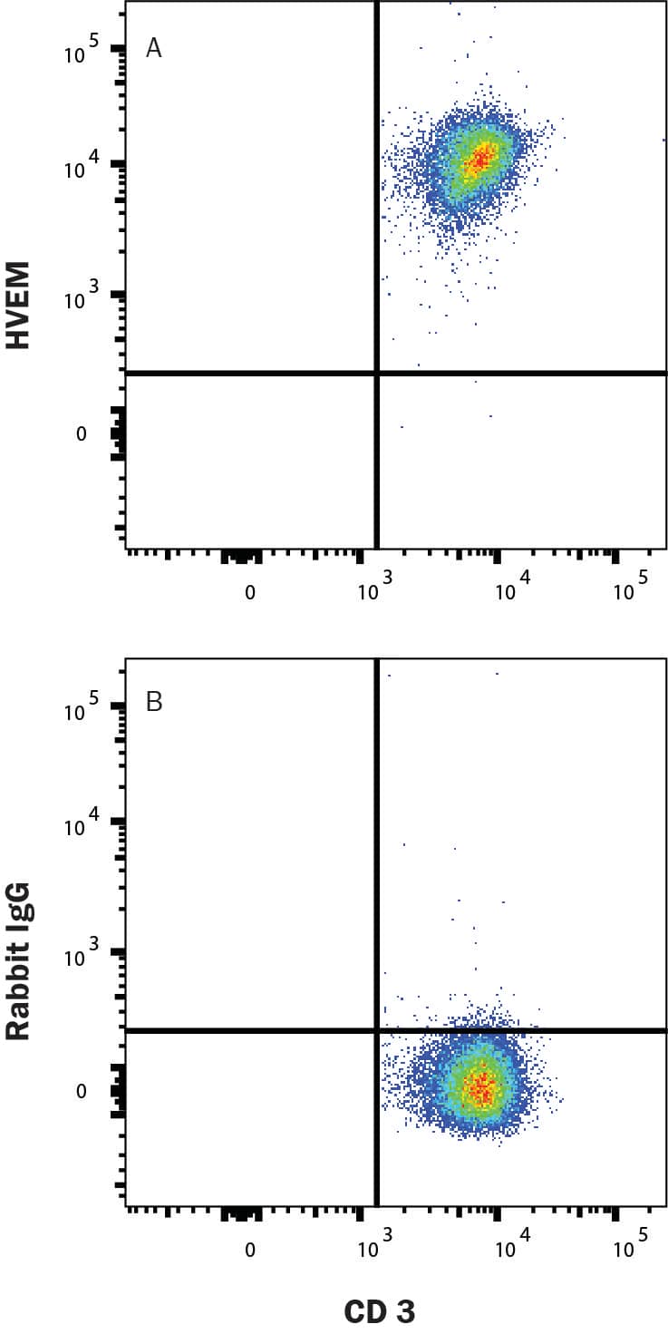 Flow Cytometry HVEM/TNFRSF14 Antibody (2742B) [Unconjugated]