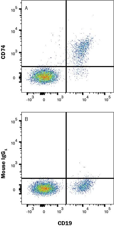 Human PBMC lymphocytes were stained with (A) Mouse Anti-Human CD74 Monoclonal Antibody (Catalog # MAB35901) or (B) Mouse IgG1 isotype control (MAB002) followed by anti-Mouse IgG APC-conjugated Secondary Antibody (F0101B) and Human CD19 PE-conjugated Monoclonal Antibody (FAB4867P). Staining was performed using our Staining Membrane-Associated Proteins protocol. 