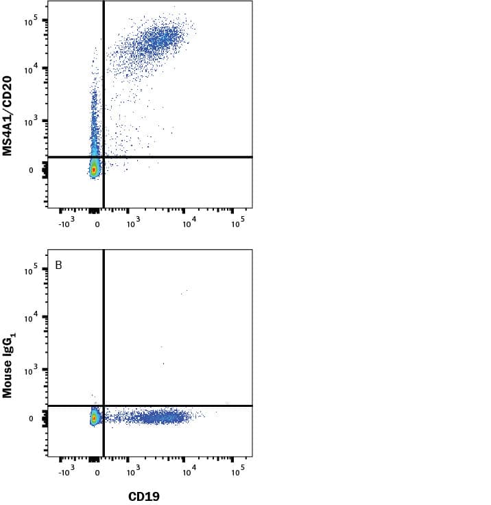  Human peripheral blood mononuclear cells (PBMCs) were stained with either (A) Mouse Anti-Human MS4A1/CD20 Monoclonal Antibody (Catalog # MAB4225) or (B) Mouse IgG1 Isotype Control (MAB002) followed by anti-Mouse IgG APC-conjugated Secondary Antibody (F0101B) and Mouse Anti-Human CD19 PE-conjugated Monoclonal Antibody (FAB4867P). Staining was performed using our Staining Membrane-associated Proteins protocol. 