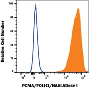 LNCaP human prostate cancer cell line was stained with Mouse Anti-Human PSMA/FOLH1 Monoclonal Antibody (Catalog # MAB42342, filled histogram) or Mouse IgG2A isotype control antibody (MAB003, open histogram), followed by Phycoerythrin-conjugated Anti-Mouse IgG Secondary Antibody (F0102B). Staining was performed using our Staining Membrane-associated Proteins protocol.