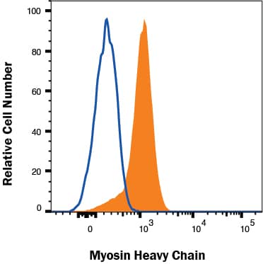 Knockdown of BAMBI inhibited myogenic differentiation. All the cell samples were harvested after transfection and myogenic induction for 48 and 96 h. (a) The western blot images of BAMBI and GAPDH; (b) the efficiency of siRNA interference on the mRNA and protein expression of BAMBI; (c) the mRNA expression of MyoD at 48 h and that of MyoG and MyHC at 96 h; (d) the western blot images of MyoD at 48 h, MyHC at 96 h, and their corresponding GAPDH; (e) the protein expression of MyoD at 48 h and MyHC at 96 h; (f) immunofluorescence of MyHC in C2C12 myotubes at 96 h post differentiation, images captured at 100× magnification; (g) the populations of myotubes; (h) the differentiation index; and (i) the myotube fusion index. The results were represented as mean ± SD; n = 3; * p 4 indicates myotubes with 4 more nucleus; (G,H) The mRNA expression of MyoD, MyoG, MyHC on 3 d and 5 d post differentiation; (I,J) The mRNA expression of Myomarker and Myomixer 3 d and 5 d post differentiation; (K) The statistical results of MyoD, MyoG, MyHC proteins in Figure 2L; (L) Western blot analyzed for MyoD, MyoG, MyHC proteins 5 d post differentiation; (M) Protein levels of key molecules in PI3K-AKT pathway in C2C12 cells transfected with miR-106a-5p agomir or NC on 5 d post differentiation; (N) The statistical analysis of phosphorylated PI3K (p85 alpha ), AKT (sre473) and mTOR (ser2448). Data were presented as mean ± SEM. n = 3 per group. * p MAB004, open histogram) followed by Allophycocyanin-conjugated Anti-Mouse IgG Secondary Antibody (Catalog # F0101B). To facilitate intracellular staining, cells were fixed with Flow Cytometry Fixation Buffer (Catalog # FC004) and permeabilized with Saponin. View our protocol for Staining Intracellular Molecules.