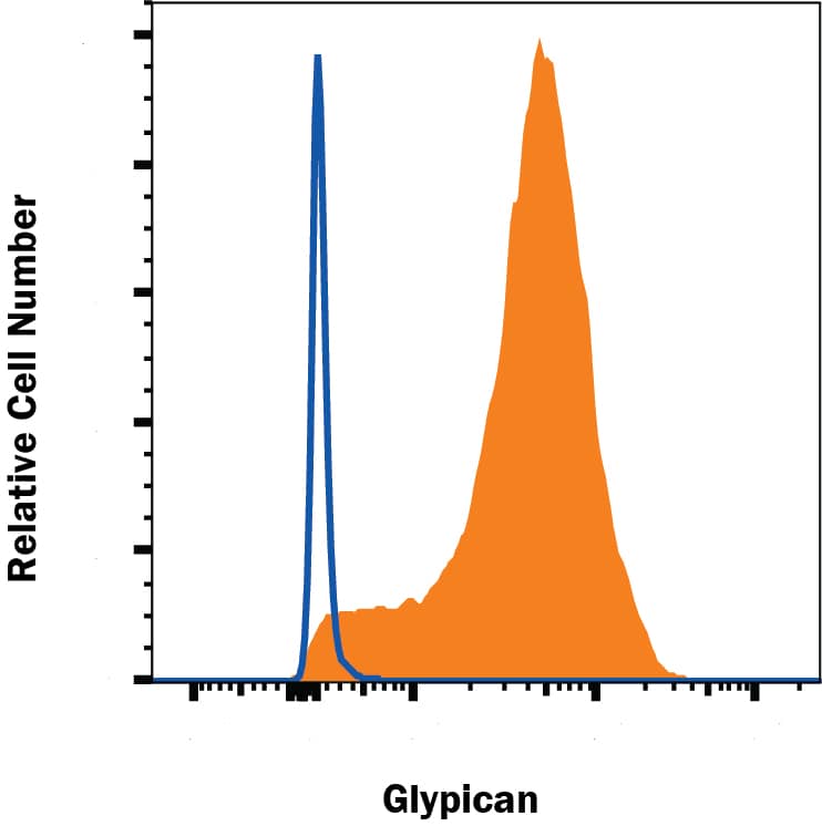 A549 human lung cancer cell line was stained with Mouse Anti-Human Glypican 1 Monoclonal Antibody (Catalog # MAB45192, filled histogram) or isotype control antibody (MAB002, open histogram), followed by Phycoerythrin-conjugated Anti-Mouse IgG Secondary Antibody (F0102B). Staining was performed using our staining membrane proteins protocol.