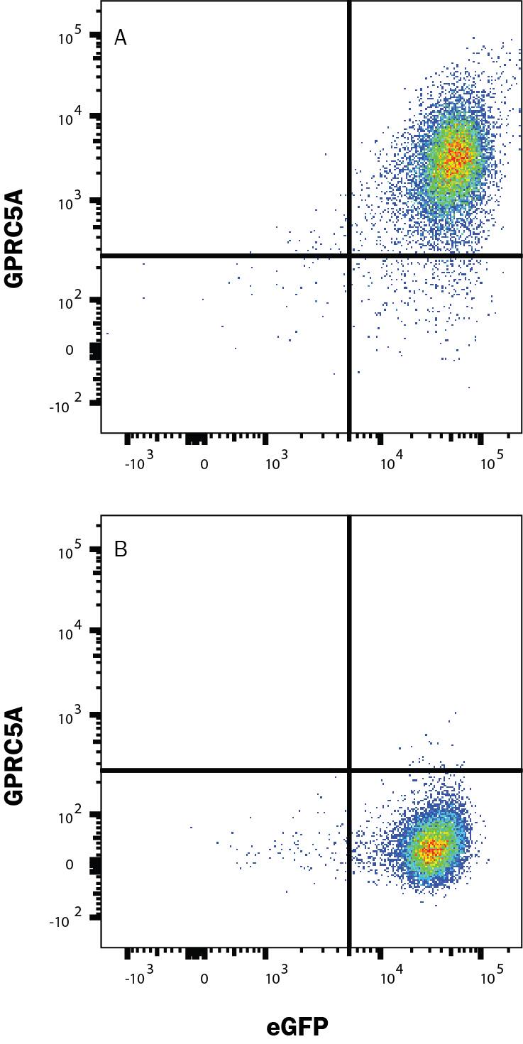 Flow Cytometry GPRC5A/RAI3 Antibody (481906) [Unconjugated]