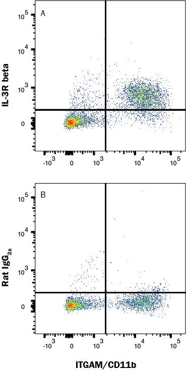 Mouse bone marrow cells were stained with Rat Anti-Mouse CD11b/Integrin alpha M PE‑conjugated Monoclonal Antibody (Catalog # FAB1124P) and either (A) Rat Anti-Mouse IL-3R beta Monoclonal Antibody (Catalog # MAB5492) or (B) isotype control antibody (Catalog # MAB006) followed by Allophycocyanin-conjugated Anti-Rat IgG Secondary Antibody (Catalog # F0113). View our protocol for Staining Membrane-associated Proteins. 