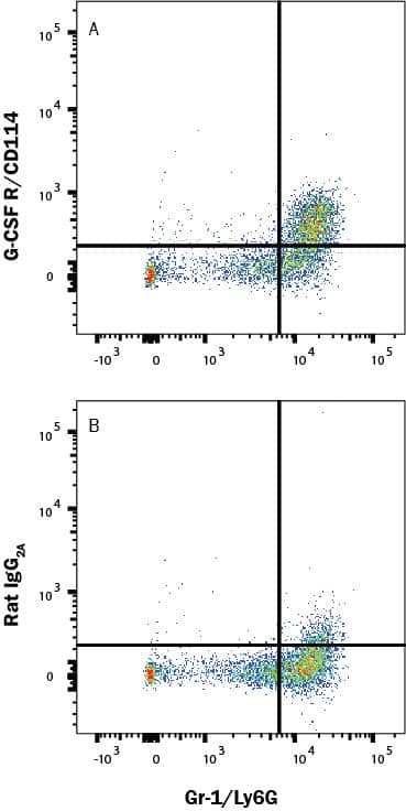 Mouse bone marrow cells were stained with Rat Anti-Mouse Gr-1/Ly-6G PE-conjugated Monoclonal Antibody (FAB1037P) and either (A)  Rat Anti-Mouse G-CSF R/CD114 Monoclonal Antibody (Catalog # MAB60391) or (B) Rat IgG2A Isotype Control (MAB006) followed by APC-conjugated Anti-Rat IgG Secondary Antibody (F0113). Staining was performed using our Staining Membrane-associated Proteins protocol. 
