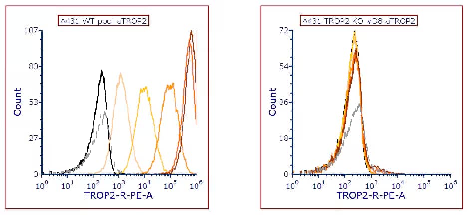 Flow cytometry histograms of A431 wild-type cells (left graph) and A431-TROP2 Knock-out cells (right graph). Both cell lines were incubated with FAB650P before the analysis. Image from a verified customer review. The customer used the PE-conjugated version of MAB650, which is listed under FAB650P.
