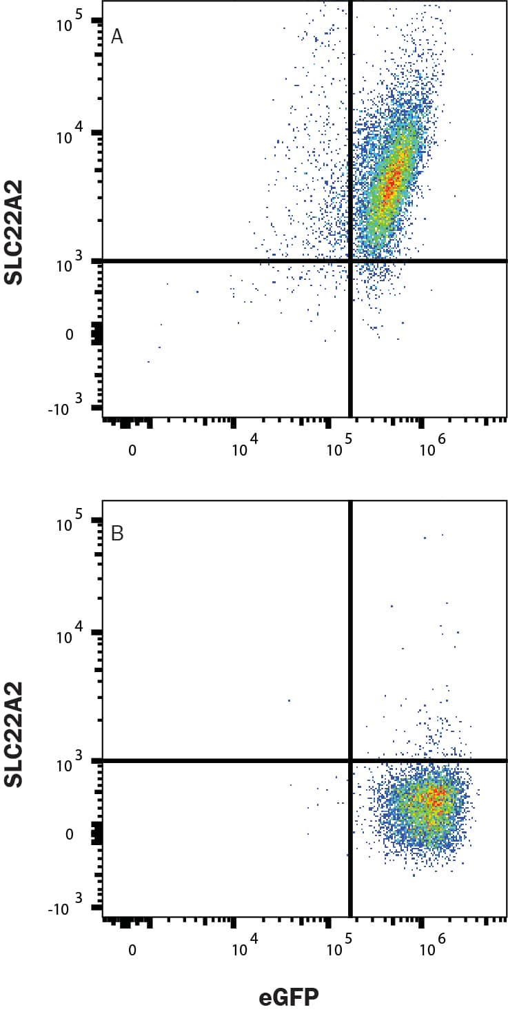 Flow Cytometry SLC22A2/OCT2 Antibody (640438) [Unconjugated]