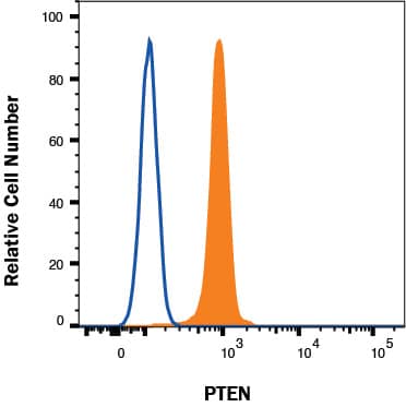 Human U937 histiocytic lymphoma cell line was stained with Mouse Anti-Human/Mouse PTEN Monoclonal Antibody (Catalog # MAB6655, filled histogram) or isotype control antibody (MAB0041, open histogram), followed by PE-conjugated Anti-Mouse IgG F(ab')2Secondary Antibody (F0102B). To facilitate intracellular staining, cells were fixed with Flow Cytometry Fixation Buffer (FC004) and permeabilized with Flow Cytometry Permeabilization/Wash Buffer I (FC005). Staining was performed using our protocol for Staining Intracellular Molecules.