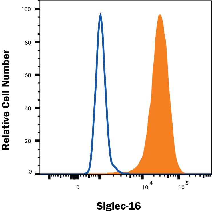 CHO cells transfected with human Siglec-16 (filled histogram) or irrelevant transfectant cells (open histogram) were stained with Mouse Anti-Human Siglec-16 Monoclonal Antibody (Catalog # MAB68191), followed by Allophycocyanin-conjugated Anti-Mouse IgG Secondary Antibody (Catalog # F0101B). To facilitate intracellular staining, cells were fixed and permeabilized with Flow Cytometry Fixation Buffer (Catalog # FC004). View our protocol for Staining Intracellular Molecules.