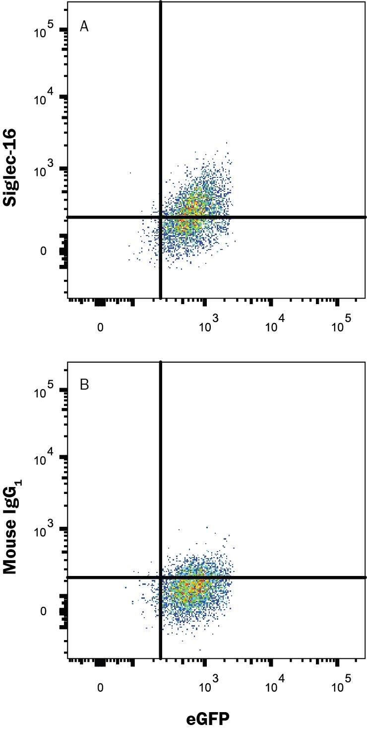 Flow Cytometry Siglec-16 Antibody (706030) [Unconjugated]