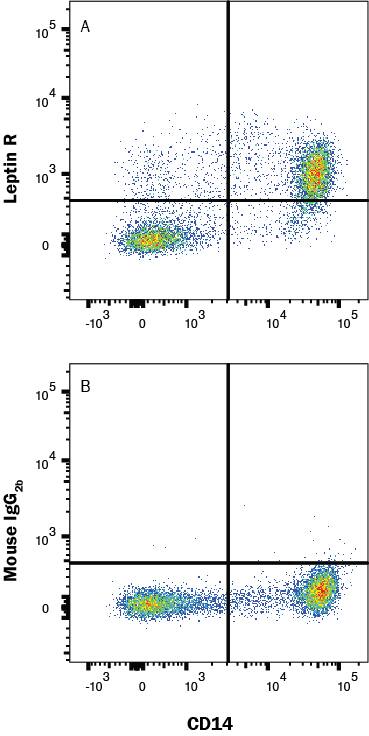 PBMC's were stained with Mouse Anti-Human CD14 PE‑conjugated Monoclonal Antibody (Catalog # FAB3832P) and either (A) Mouse Anti-Human Leptin R Monoclonal Antibody (Catalog # MAB867) or (B) isotype control antibody (Catalog # MAB004) followed by Allophycocyanin-conjugated Anti-Mouse IgG Secondary Antibody (Catalog # F0101B). View our protocol for Staining Membrane-associated Proteins. 