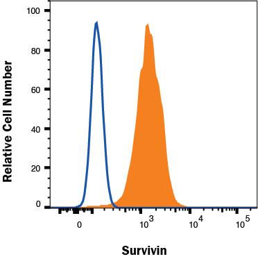 Jurkat cells were stained with Mouse Anti-Human Survivin Monoclonal Antibody (Catalog # MAB886, filled histogram) or isotype control antibody (Catalog # MAB002, open histogram) followed by Phycoerythrin-conjugated Anti-Mouse IgG Secondary Antibody (Catalog # F0102B). To facilitate intracellular staining, cells were fixed with Flow Cytometry Fixation Buffer (Catalog # FC004) and permeabilized with Flow Cytometry Permeabilization/Wash Buffer I (Catalog # FC005). View our protocol for Staining Intracellular Molecules.